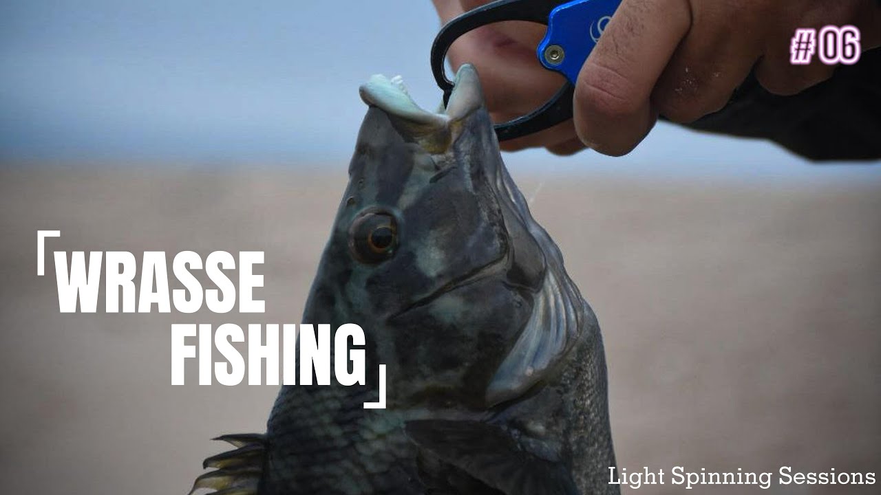 Wrasse Fishing with some surprises - LIGHT SPINNING SESSIONS #06