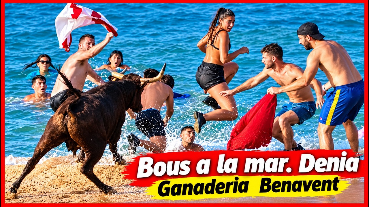 Bous a la mar Denia 09.07.2023 Ganaderia Benavent