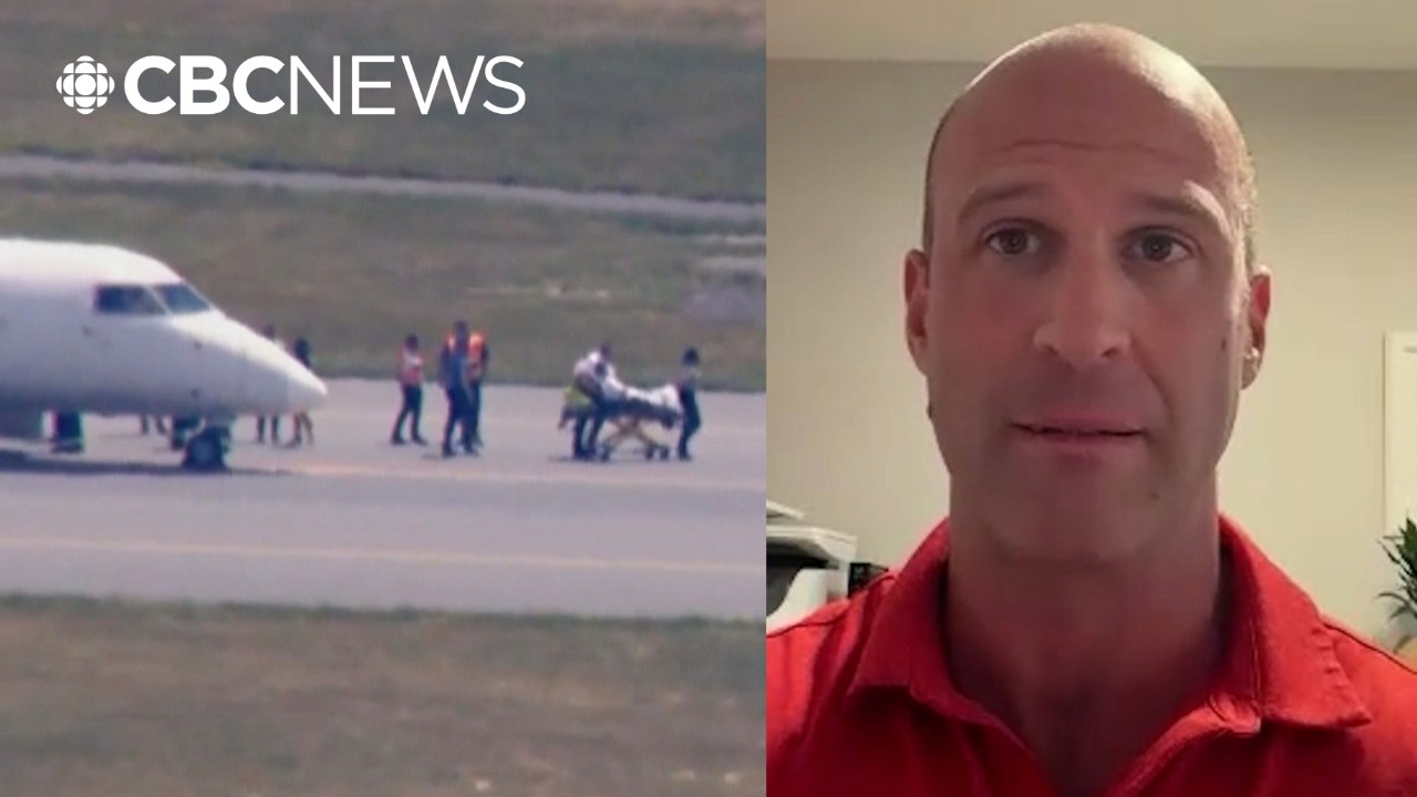 Passenger details how he and others restrained pilot in emergency
