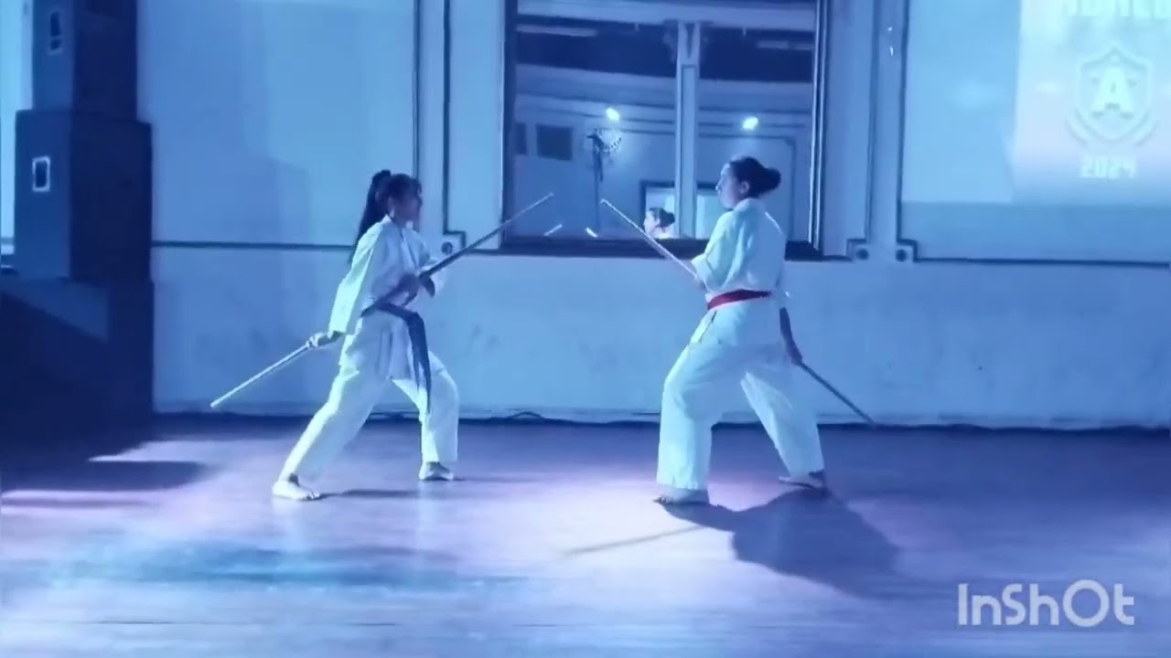 Exhibición anual 2024 Dokan dojo