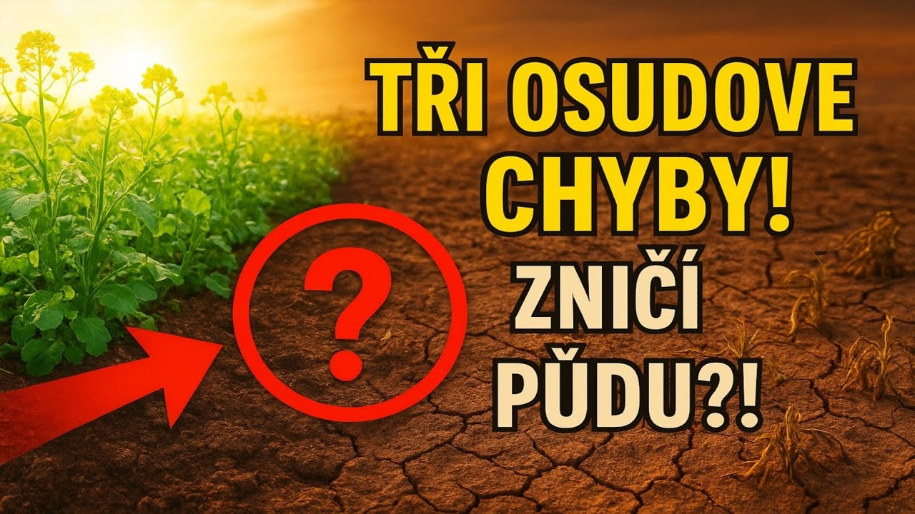 SIDERÁTY NA PODZIM: Tři osudové chyby, které zničí vaši půdu 🌱