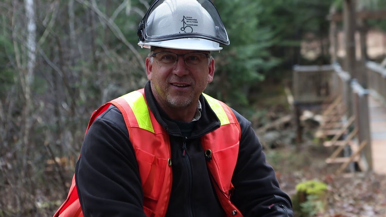 DEP en Aménagement de la forêt