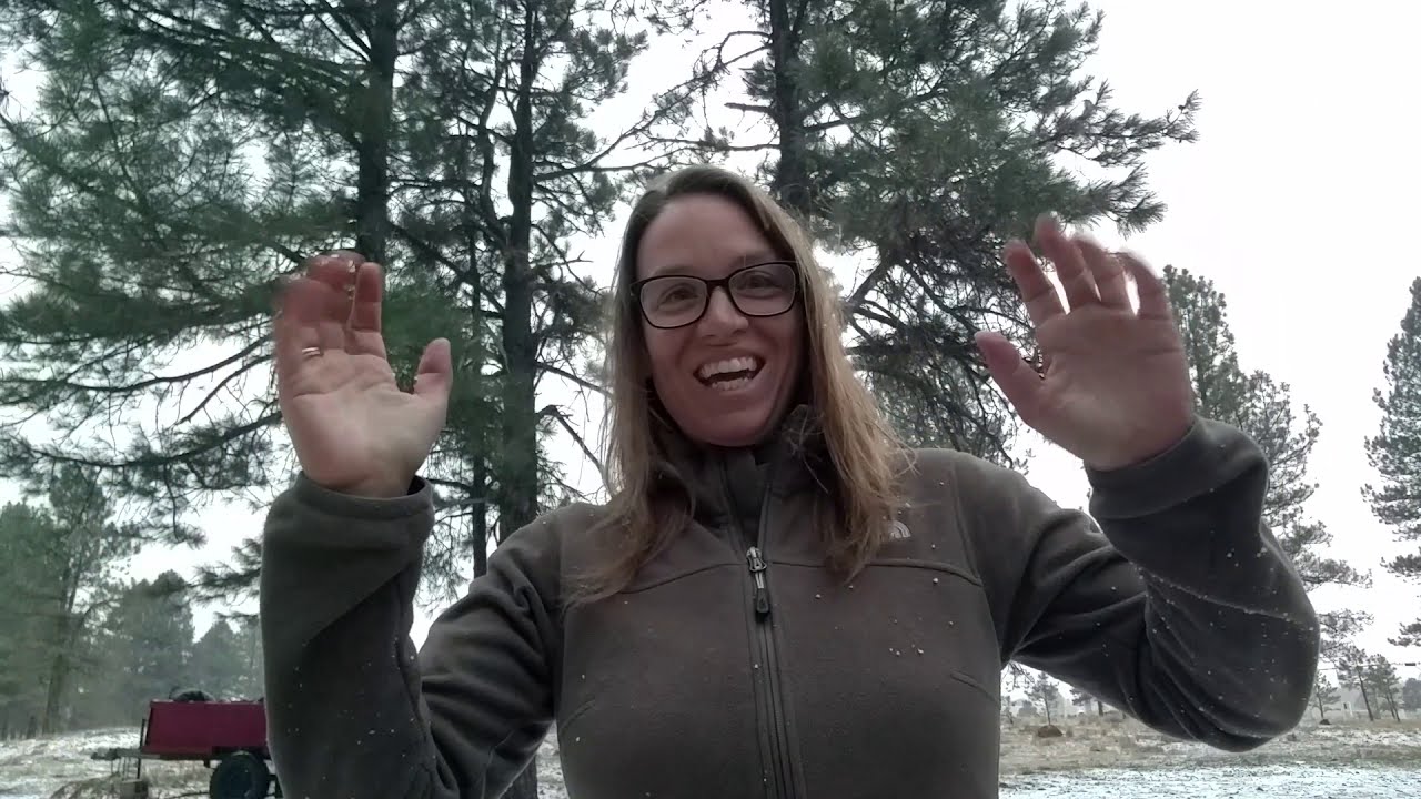 Troubleshooting Your Sick Bonsai - Live From The Help Desk With Nikki and Garden Republic