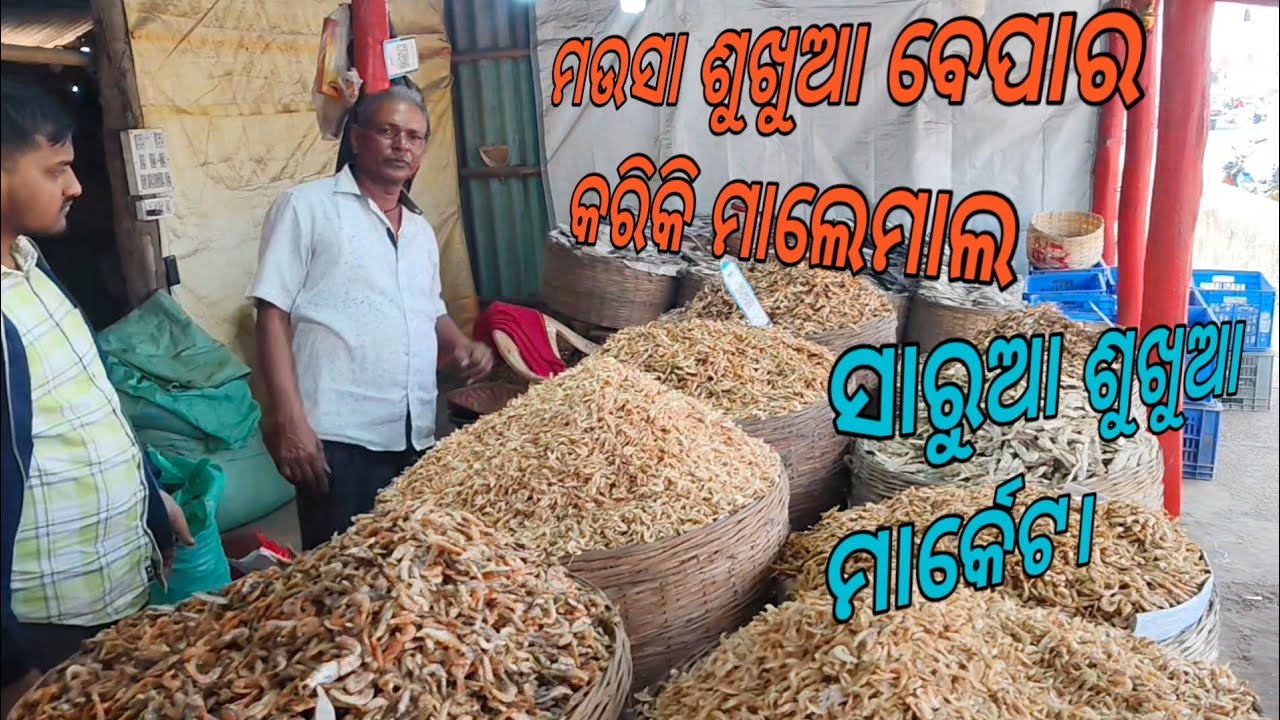 ସୁମନ ଆଉ ମୁଁ ସାରୁଅ ରୁ ଶୁଖୁଆ କିଣିଲୁ dry 🐠 🐠🐠🐠🐟🐟🐟||