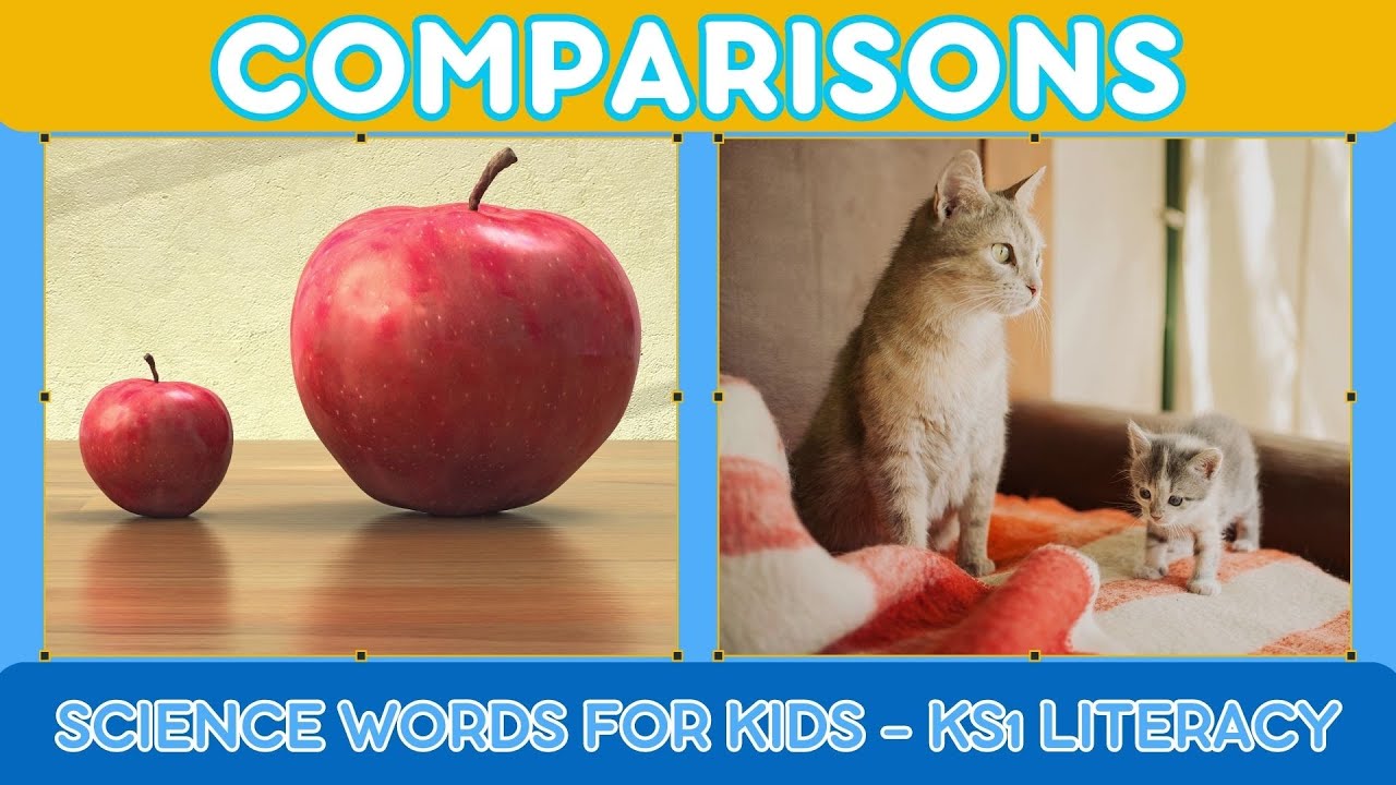 Fun and Adventure with Comparisons: Discover Greater, Smaller & More | Educational Video for Kids