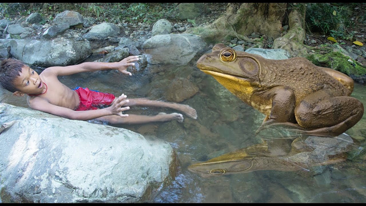 Primitive Technology - Catch n Cooking Frog Recipe for Dinner - near the Waterfall