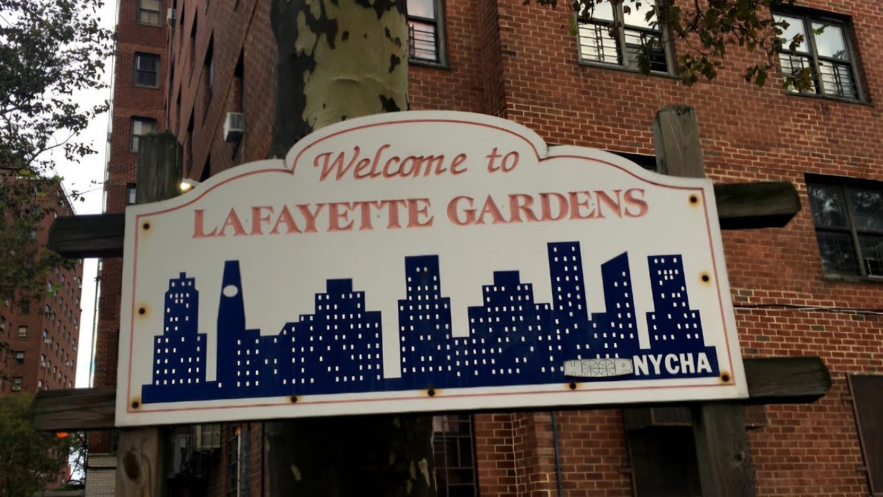 The Rise and Fall of CMB & LG ( Lafayette Gardens ) : A True Brooklyn Tale
