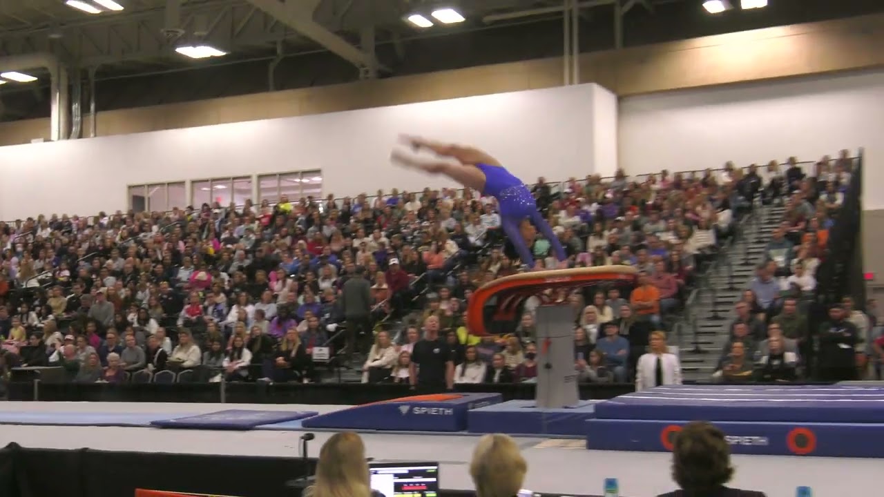 Annalisa Milton - Vault - 2024 Winter Cup - Senior Women