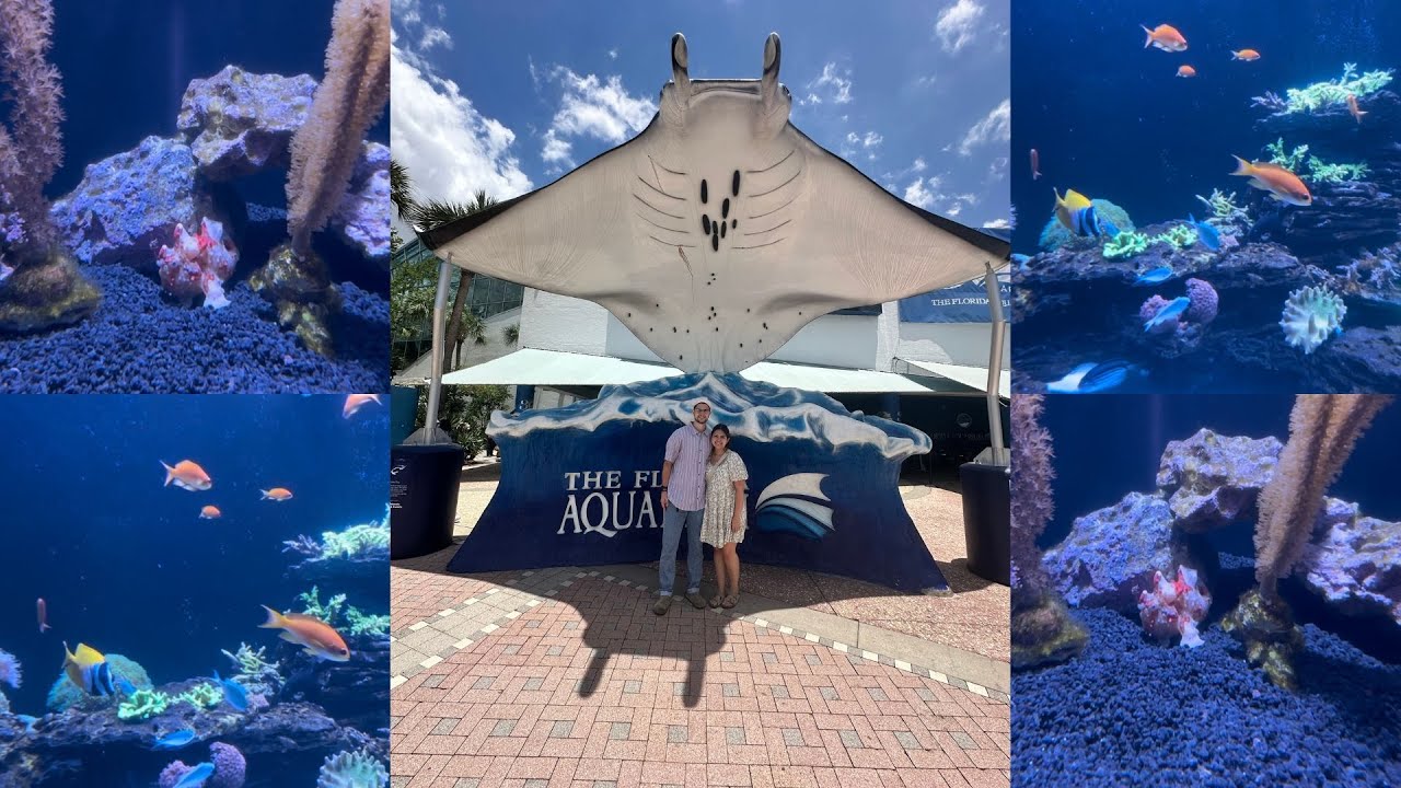 Florida Aquarium Vlog