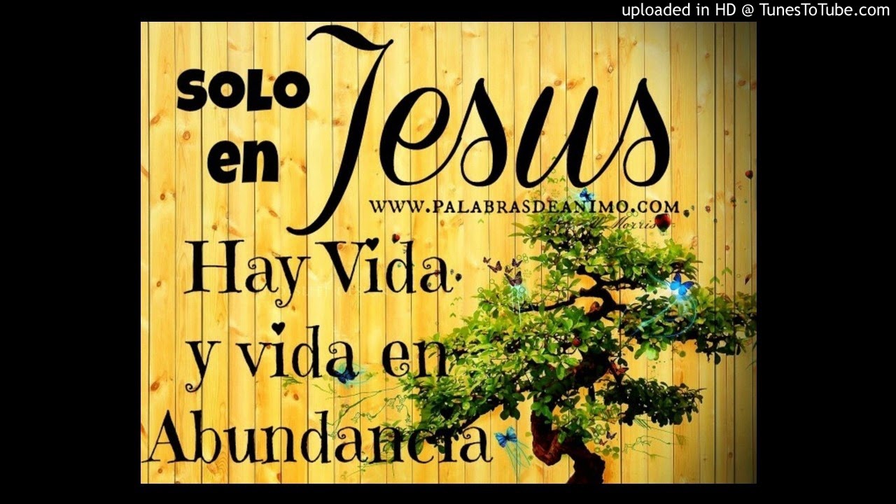 Aleska Solorzano -  Proclamo Vida FT. Alam Lopez