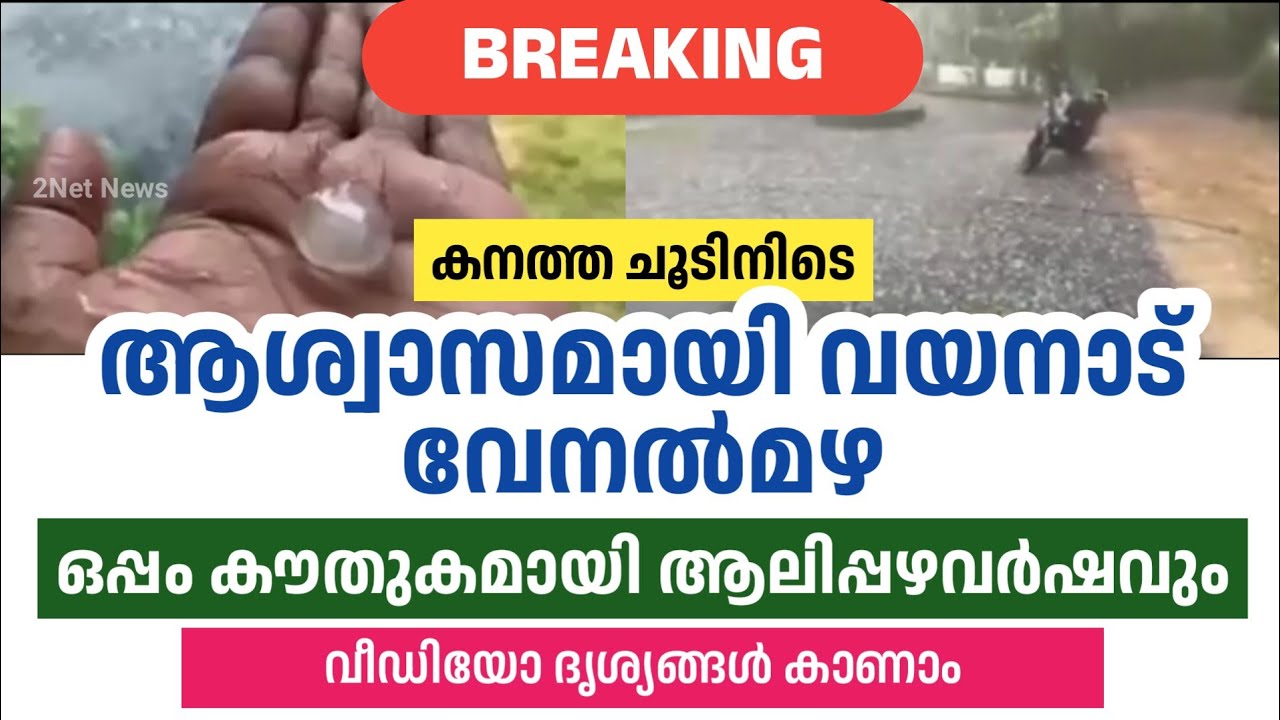 വയനാട് ആശ്വാസമായി വേനൽമഴ; കൂടെ ആലിപ്പഴവർഷവും: വീഡിയോ &bull; Rain in Wayanad &bull; Kerala Weather &bull; 2Net News