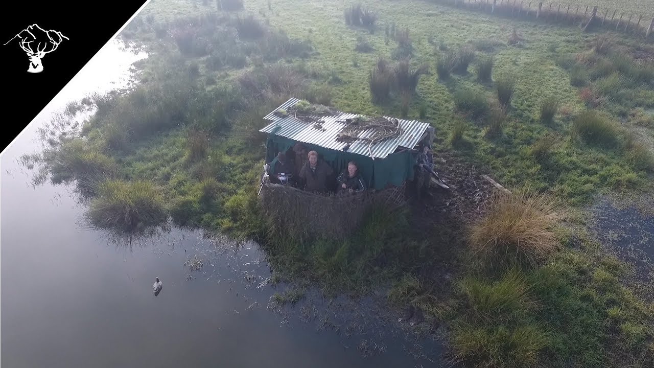 Duck Shooting Opening Weekend NZ