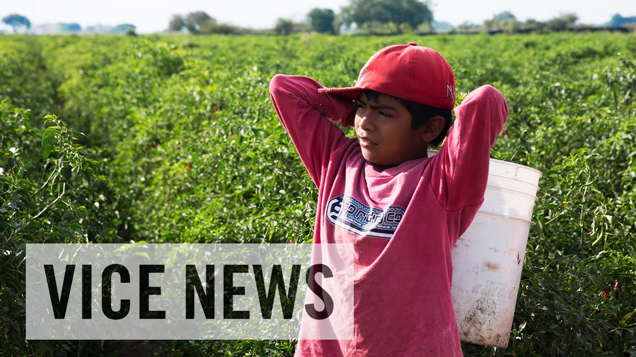 Leaving Their Kids Locked Up (Excerpt from ‘The Fruits of Cheap Labor’)