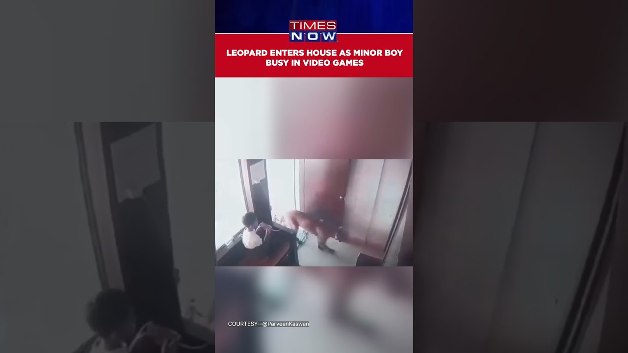 Viral Video Shows Leopard Suddenly Entering House As Minor Boy Busy In Playing Video Games #shorts