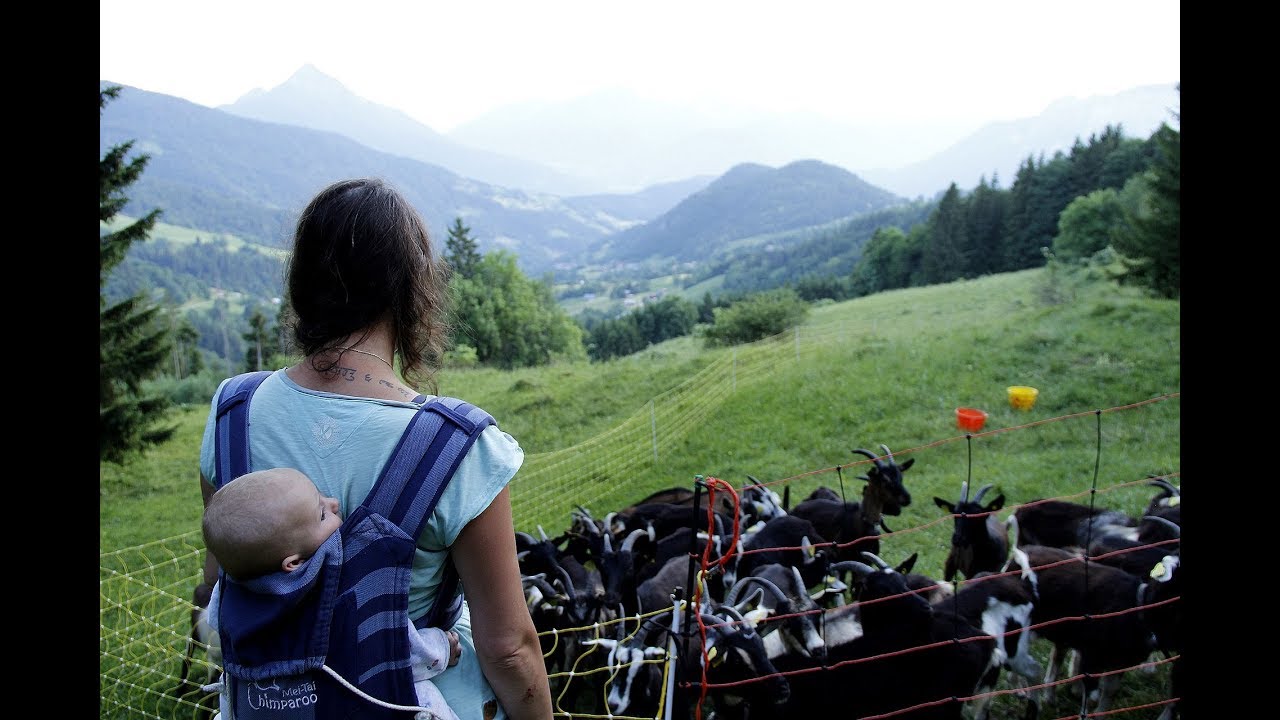 La Chevrerie de Lily - le Chevrotin des Aravis
