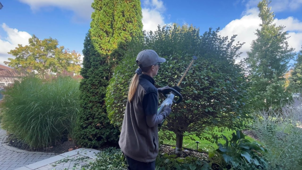 SHRUB TRIMMING JOB - Yardmas Day 6 🎄