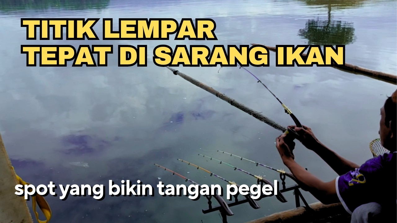 Strike bertubi tubi‼️pantesan para pemancing rela antri rupanya ikan di sini pada kelaparan