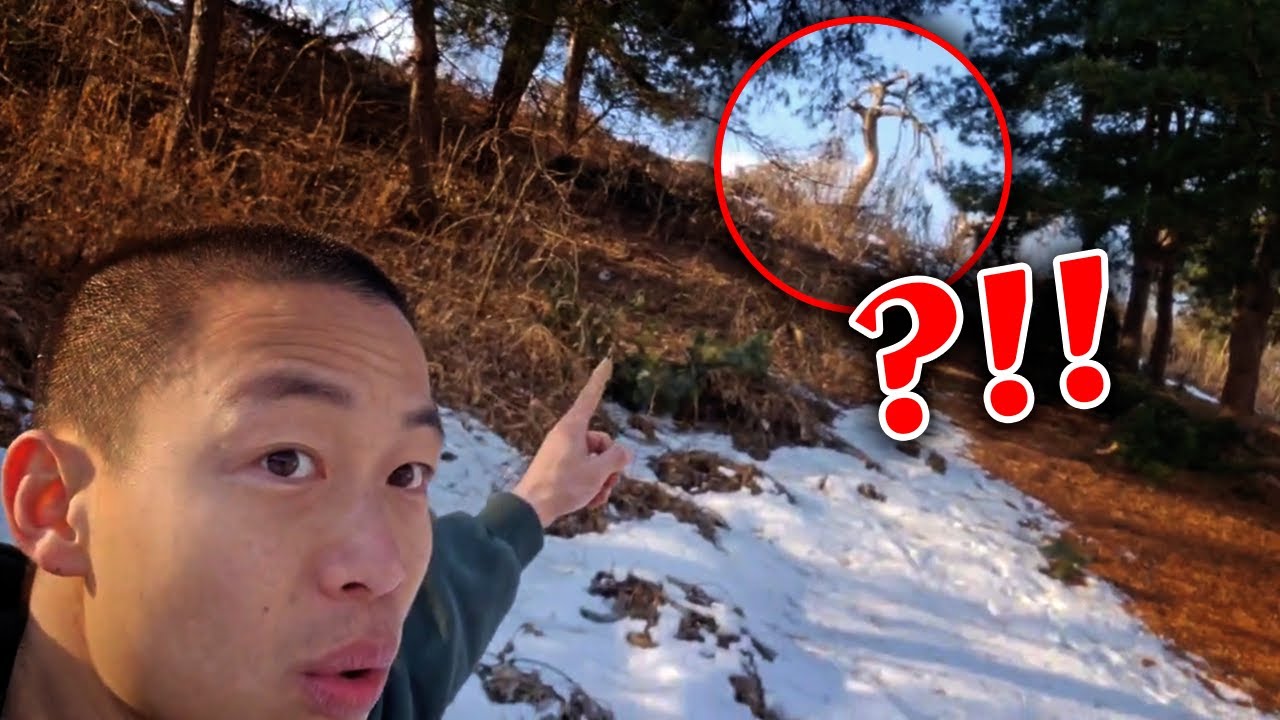 미스테리 사건 사고 위치를 알려주는 어플. 알려준 곳에 있는 저건.. 대체 뭐죠?