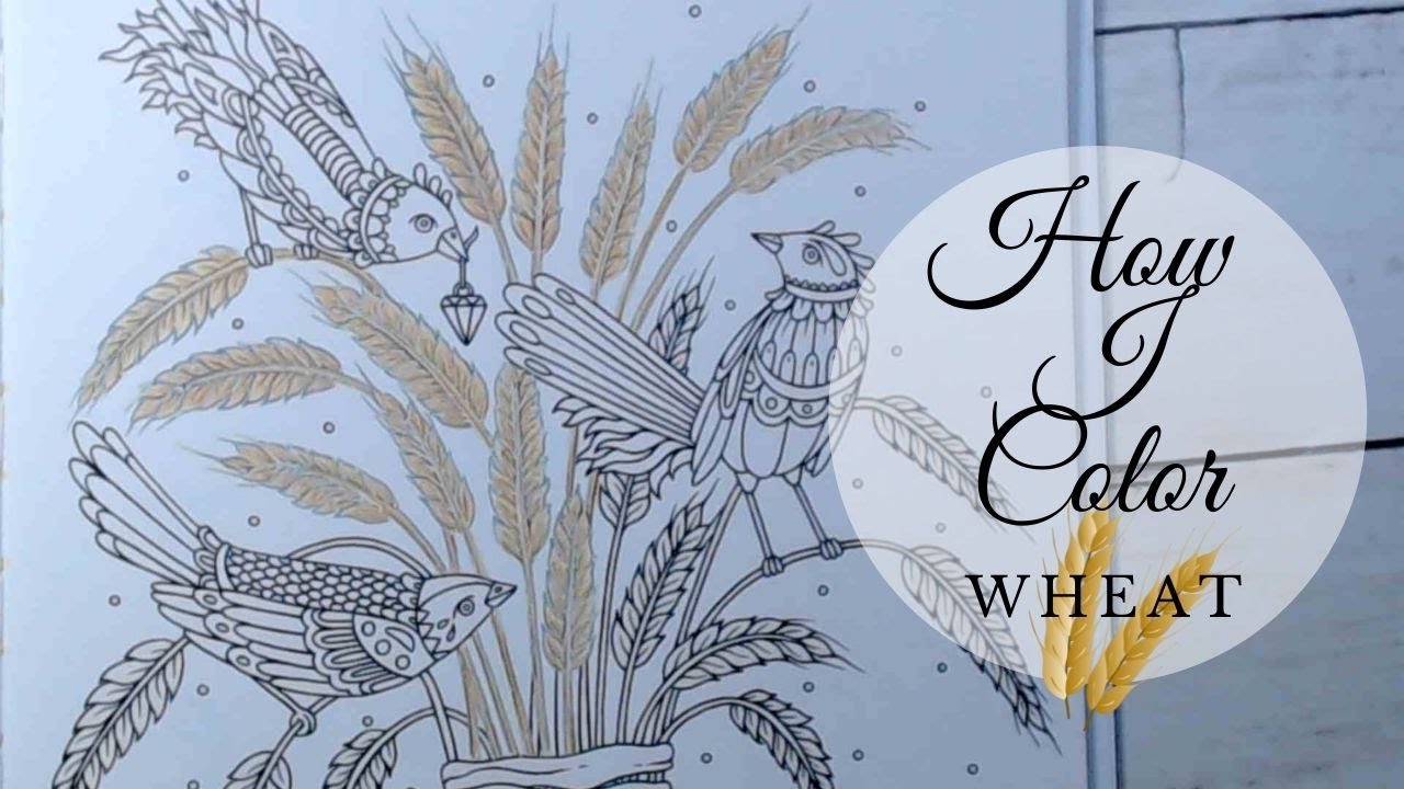 Adult Coloring| How I Color Wheat