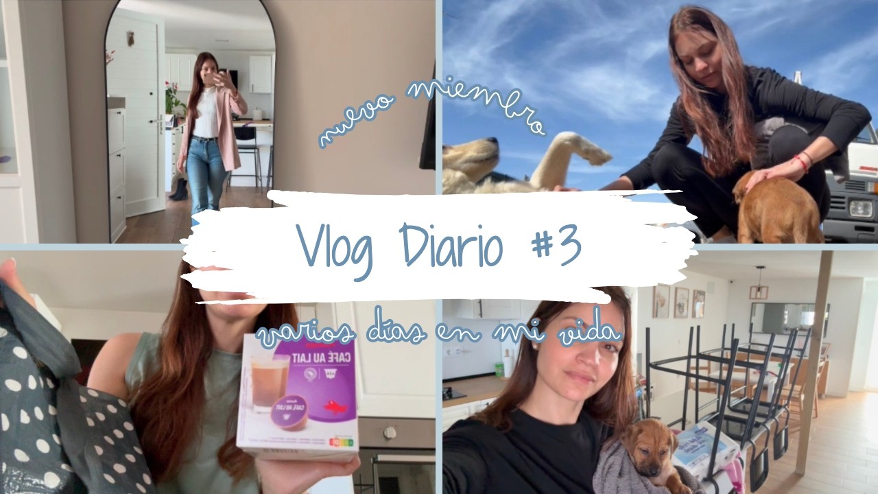 NUEVO Miembro INESPERADO en la FAMILIA🐶 CAMBIOS en el SALÓN y mucho mas....