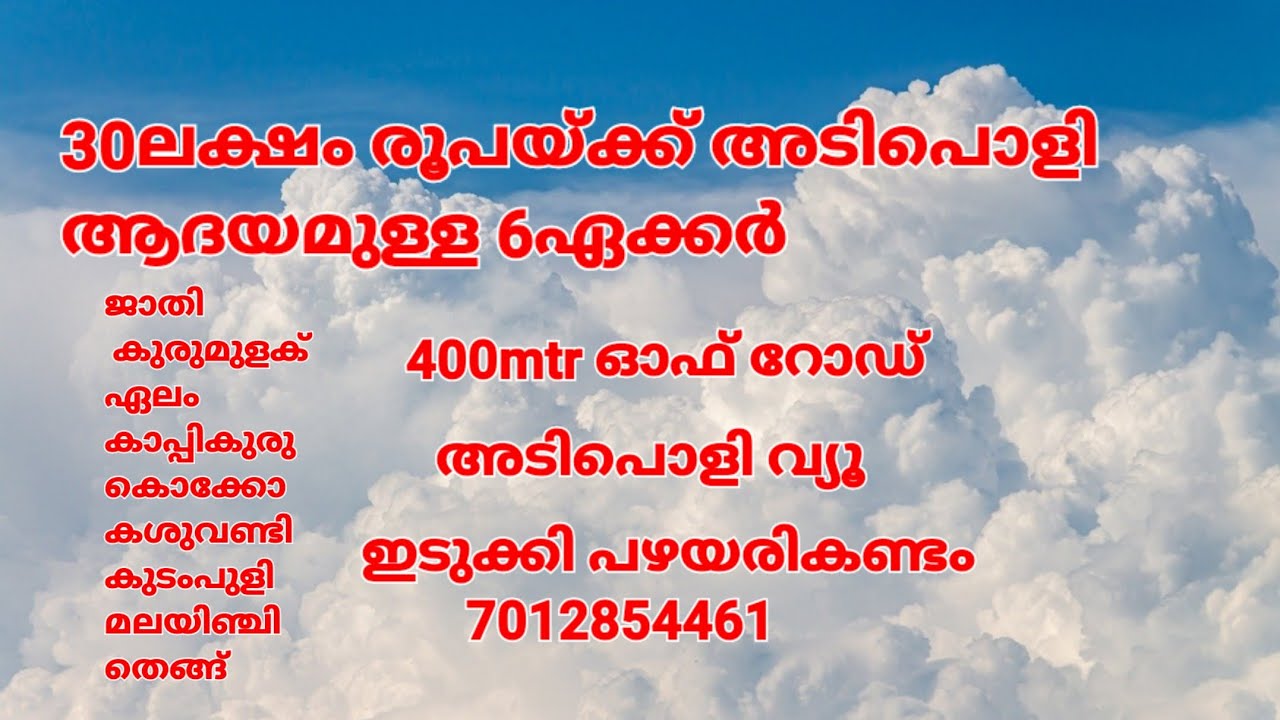 30ലക്ഷം രൂപയ്ക്ക് അടിപൊളി ആദയമുള്ള 6ഏക്കർ 👇agricultural land idukki. pls subscribe our channel 👇👇
