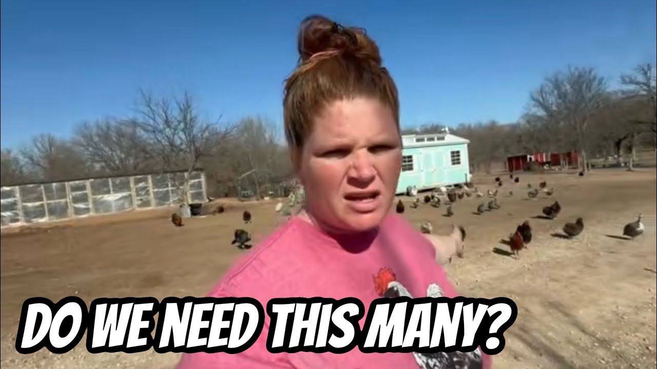 Why Do We Have This Many Animals? What is Their Purpose?