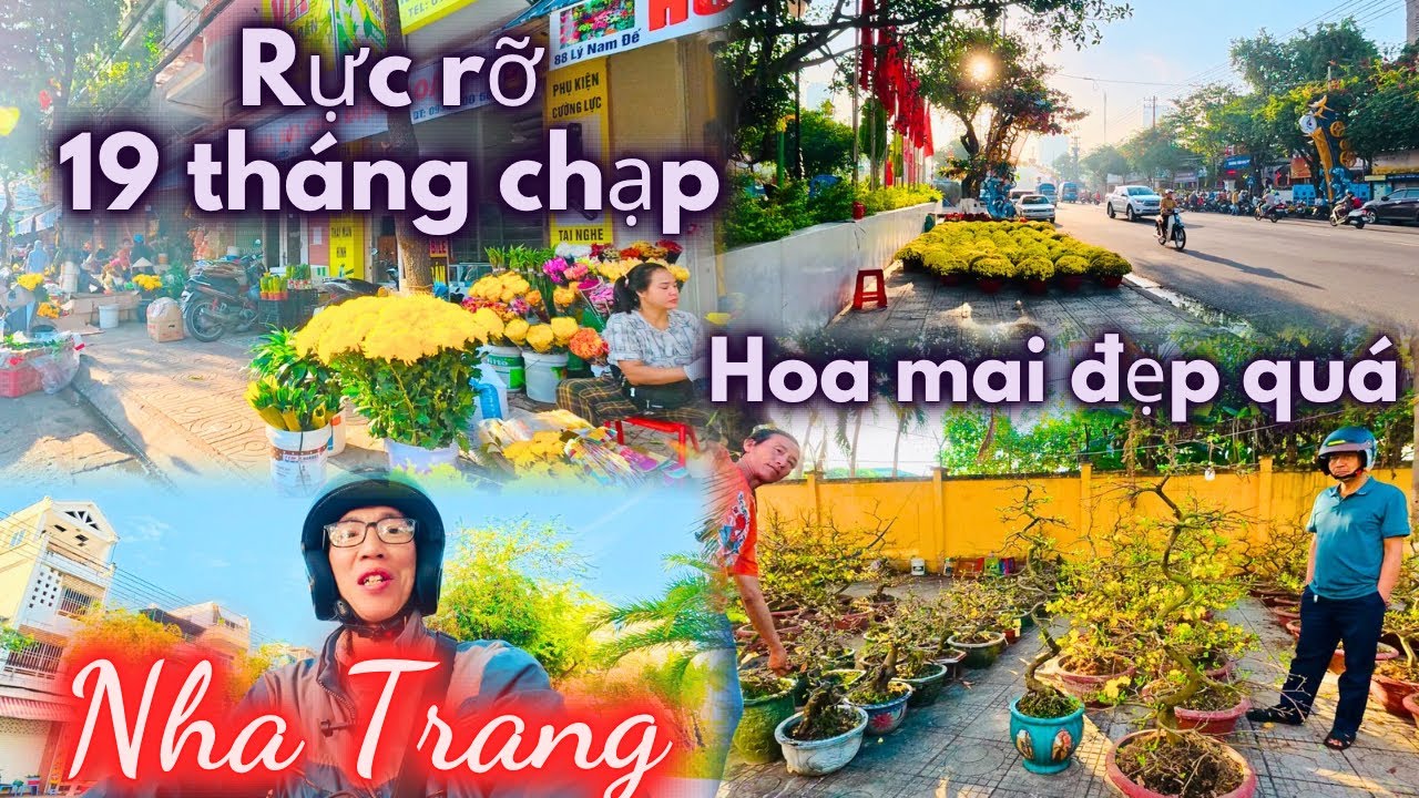 Sáng nay 19 tháng chạp rồi, Hoa lá cũng nhiều rồi | Con đường đến Phía Nam rộn ràng Chợ Tết Vui quá