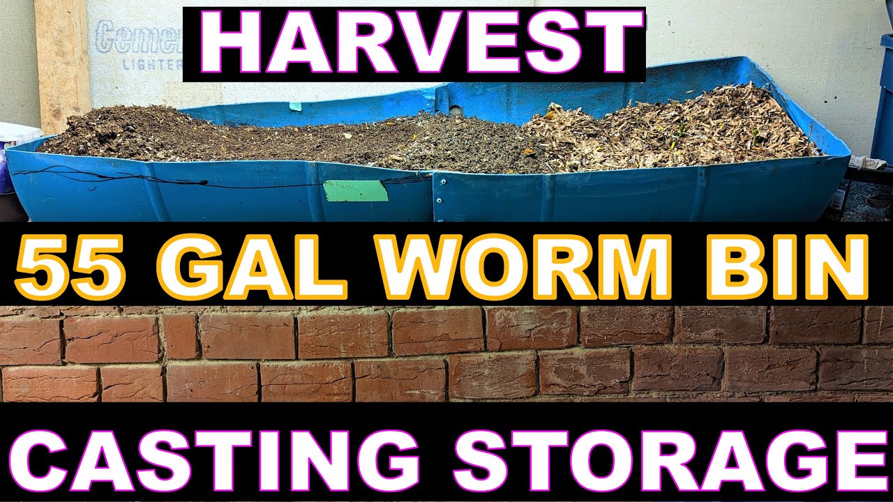 How to Keep Worm Castings ALIVE in storage- 55 Gallon Worm Bin