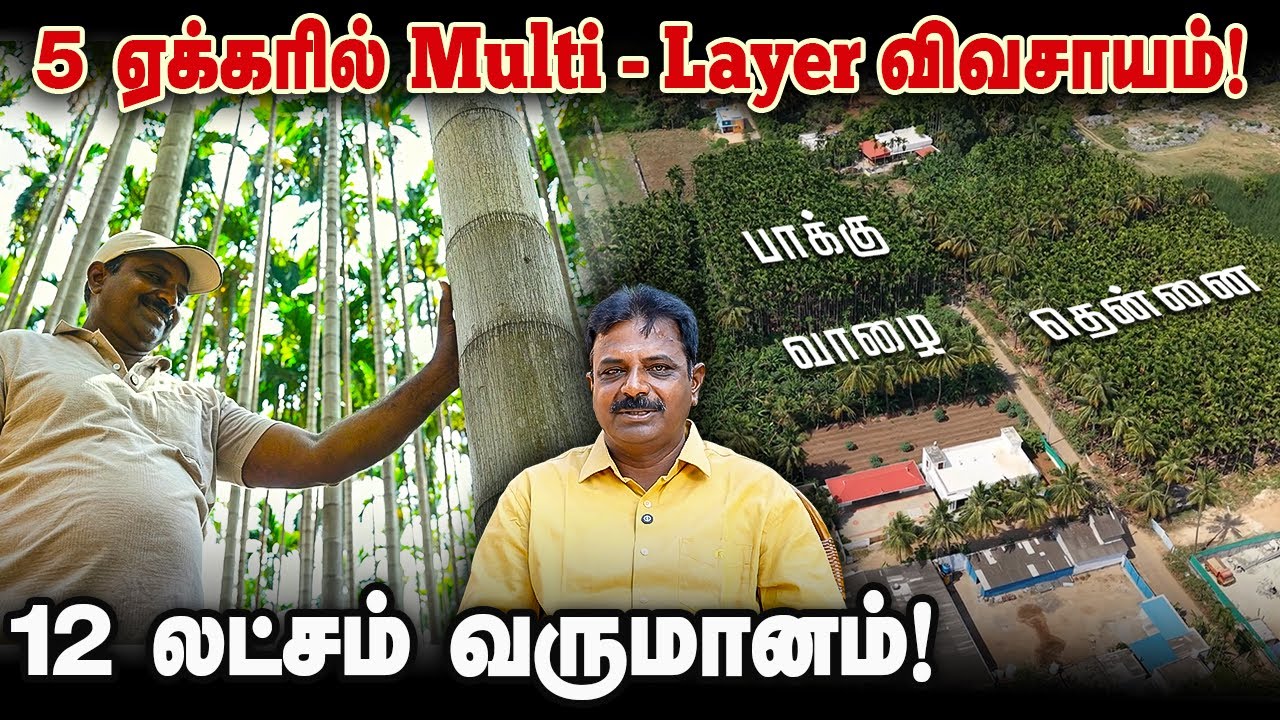 5 ஏக்கரில் Multi-Layer விவசாயம்! 12 லட்சம் வருமானம்! மார்பு உயரத்துக்கு வாழை தார்! #naturalfarming