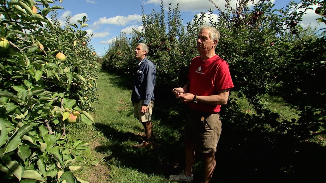 Celebrating New England's Apple Harvest - America's Heartland