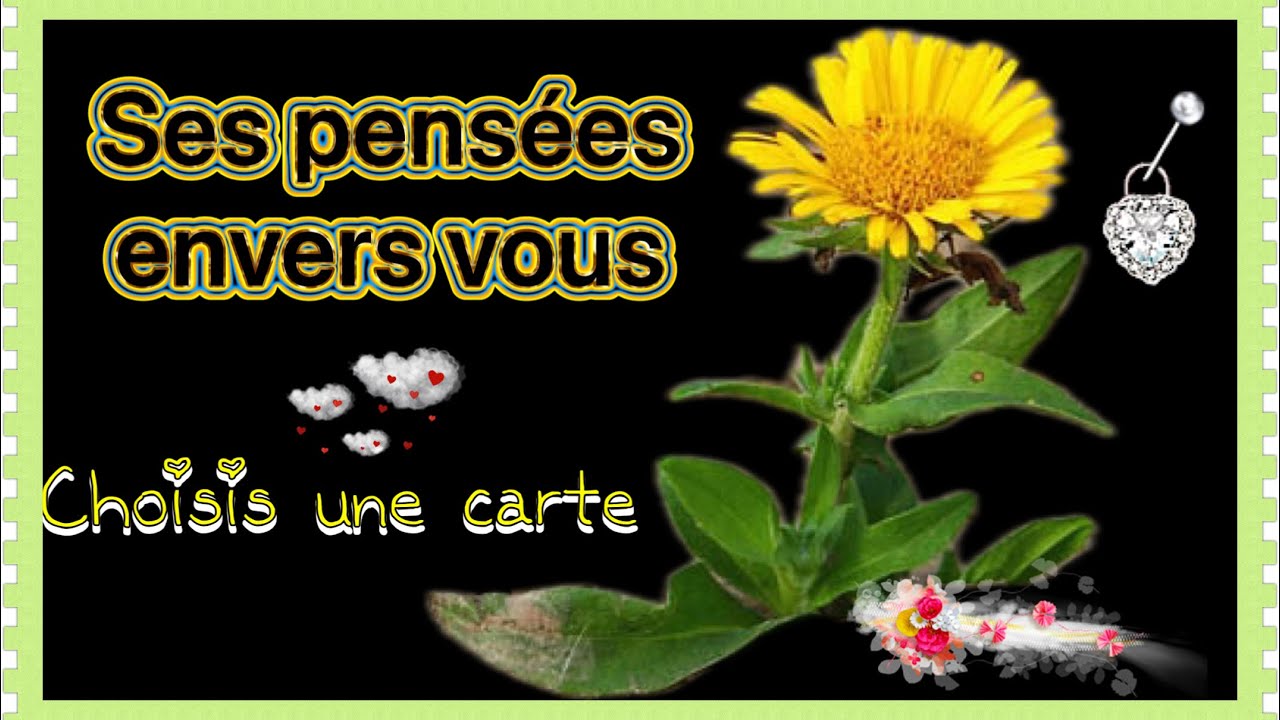 🌹SES PENSEES ENVERS VOUS ? tirage à choix intemporel