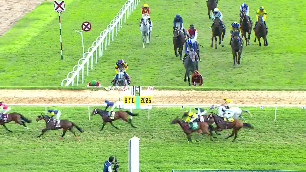 POSITANO : THE MAHARAJA'S GOLD CUP GR II (113)