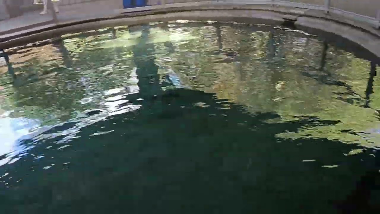 Shark Wreck Reef at SeaWorld Orlando 