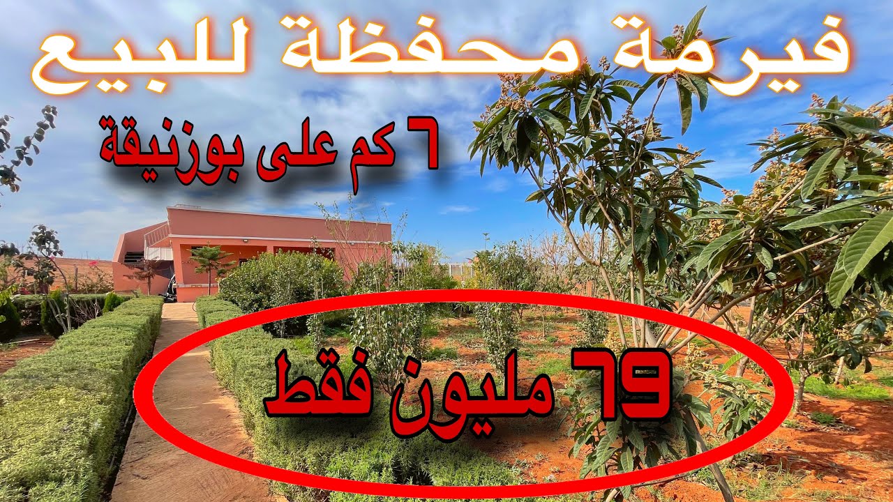 🔴vendu🔴✨أحسن فيرمة صغيرة محفظة للبيع 📞
