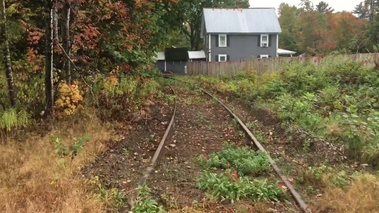 Conway Scenic Track clearing