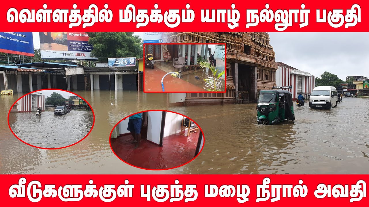 வெள்ளத்தில் மிதக்கும் யாழ் நல்லூர் - வீடுகளுக்குள் புகுந்த மழை நீரால் மக்கள் அவதி | jaffna flood
