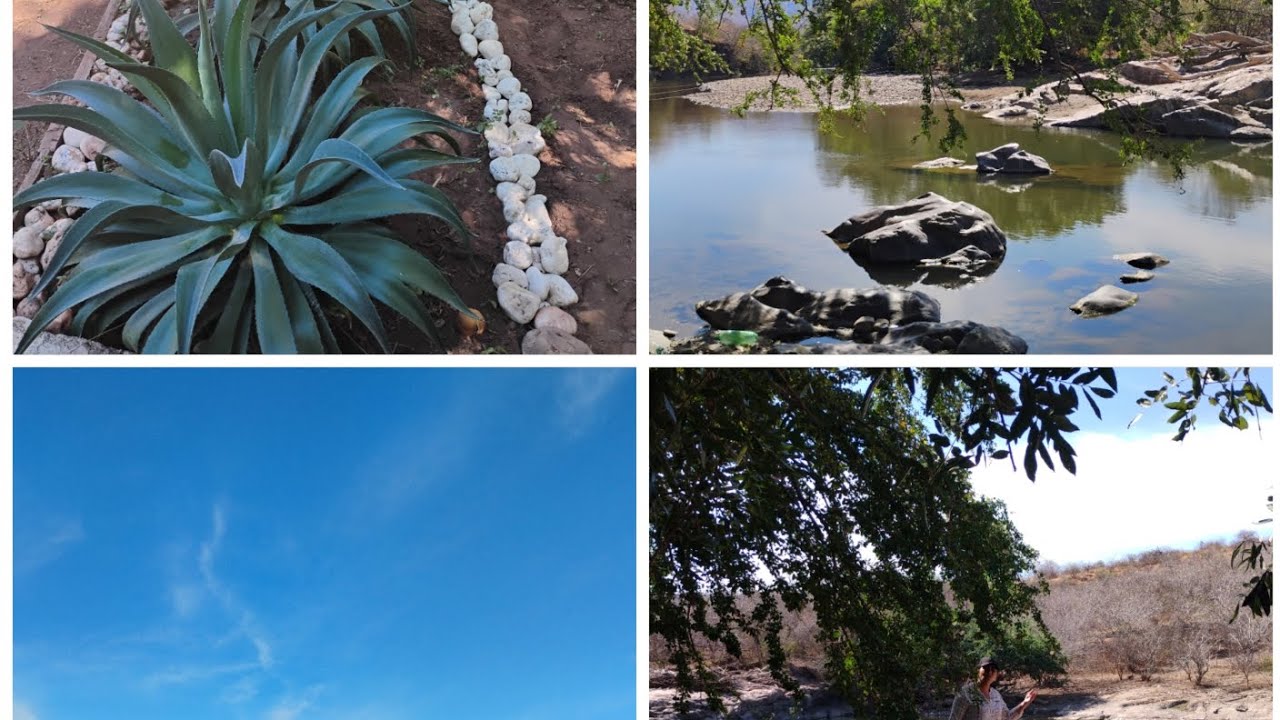 Fuimos al río 🫣🍃+ arreglo mis plantas 🌿🪴☘️