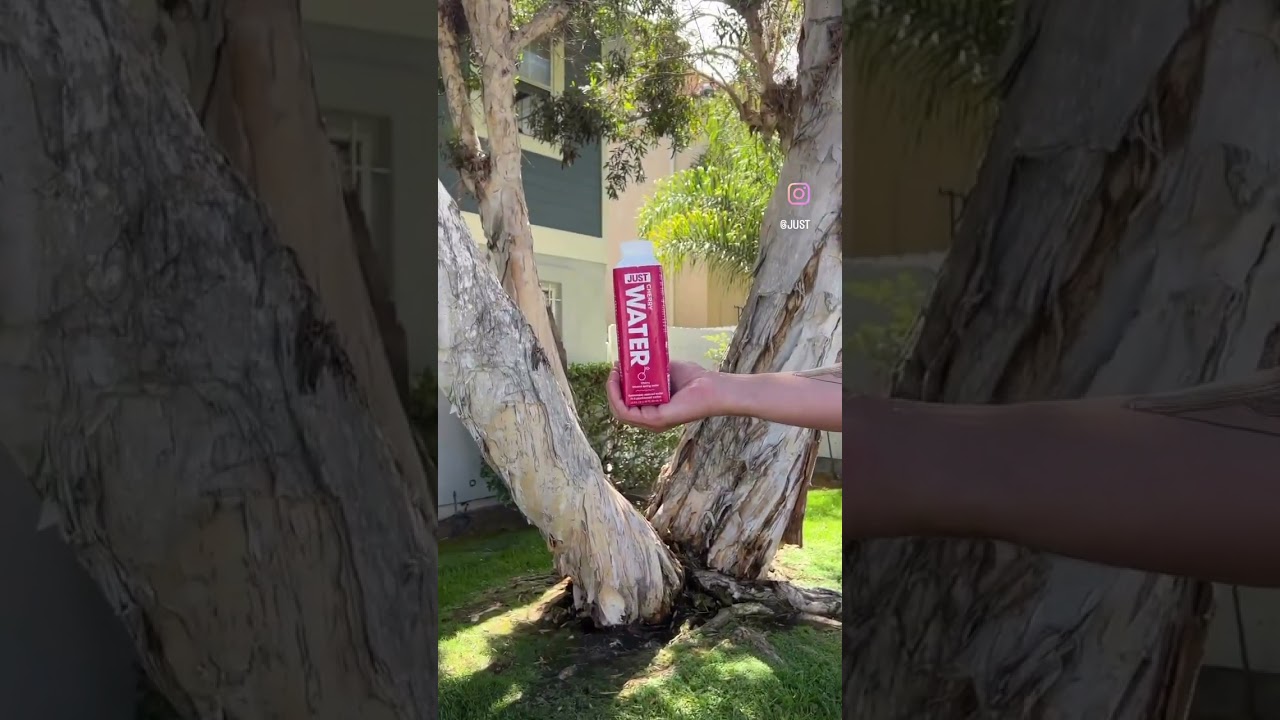 Cherry Bliss, the JUST Way!