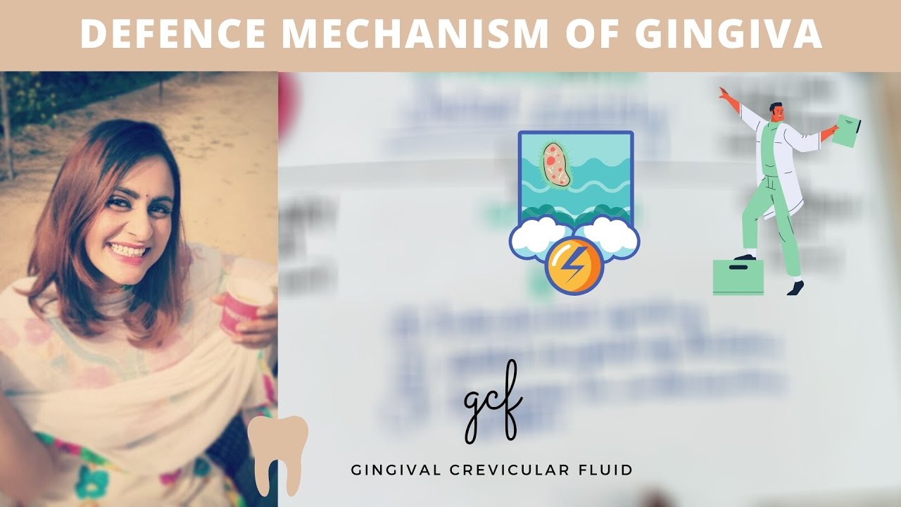 defence mechanism of gingiva (gingival crevicular fluid)