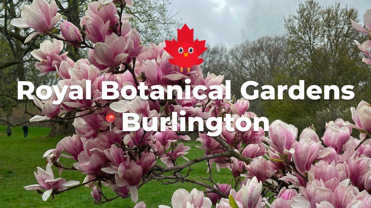 This is the Best Botanical Garden I've Ever Visited