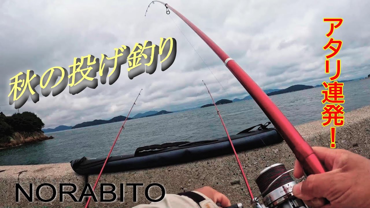 【カレイ投げ釣り】そろそろカレイの時期ですね！投げ釣りで狙ってみます。