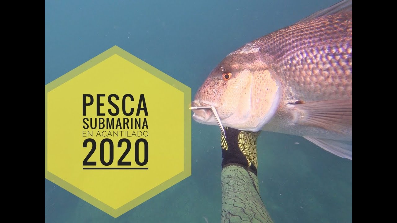 Pesca Submarina En Acantilado 2020