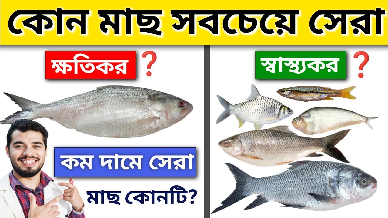 ইলিশ নয়❌কোন সস্তা মাছের পুষ্টিগুণ বেশি? 🐟 ৬টি জনপ্রিয় মাছের উপকারিতা | Benefits of Eating Fish