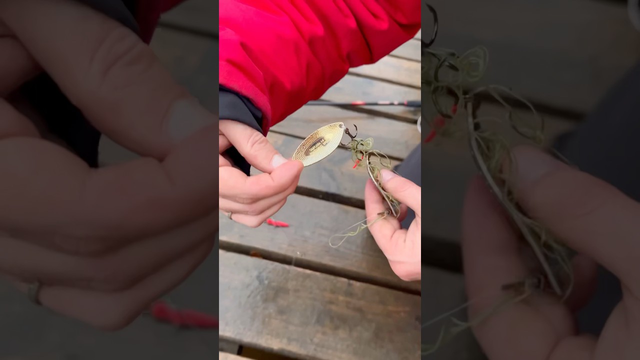 Искали щуку, а нашли золото #рыбалка #спиннинг #щука