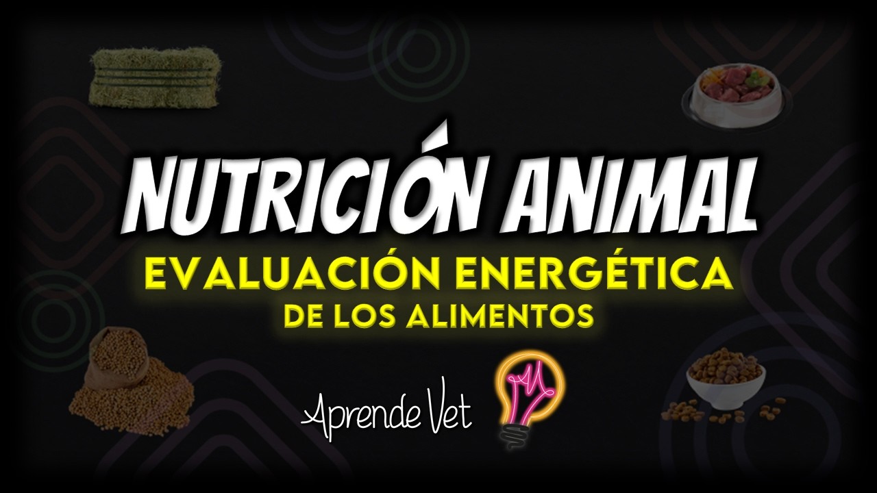 🌾 NUTRICIÓN ANIMAL 📌EVALUACIÓN ENERGÉTICA DE LOS ALIMENTOS📌Resumen simple