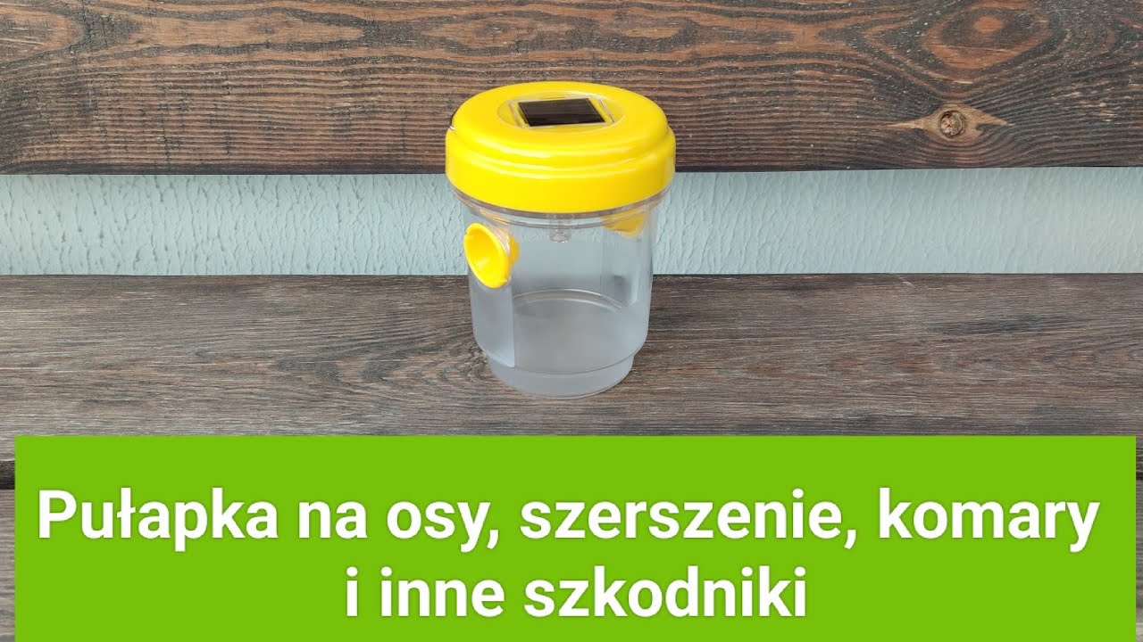 Pułapka na osy, szerszenie, komary i inne szkodniki.