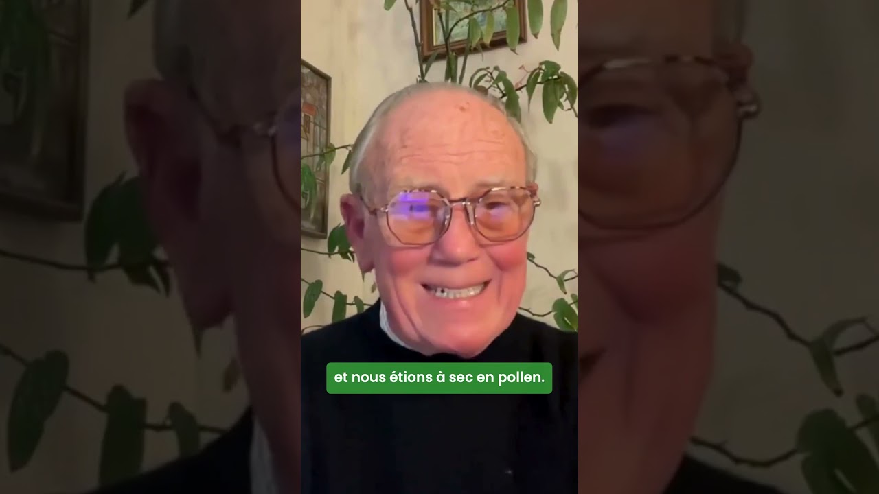 Le pollen de saule : prot&eacute;gez vos yeux (et entretenez votre tube digestif) #changezdalimentation