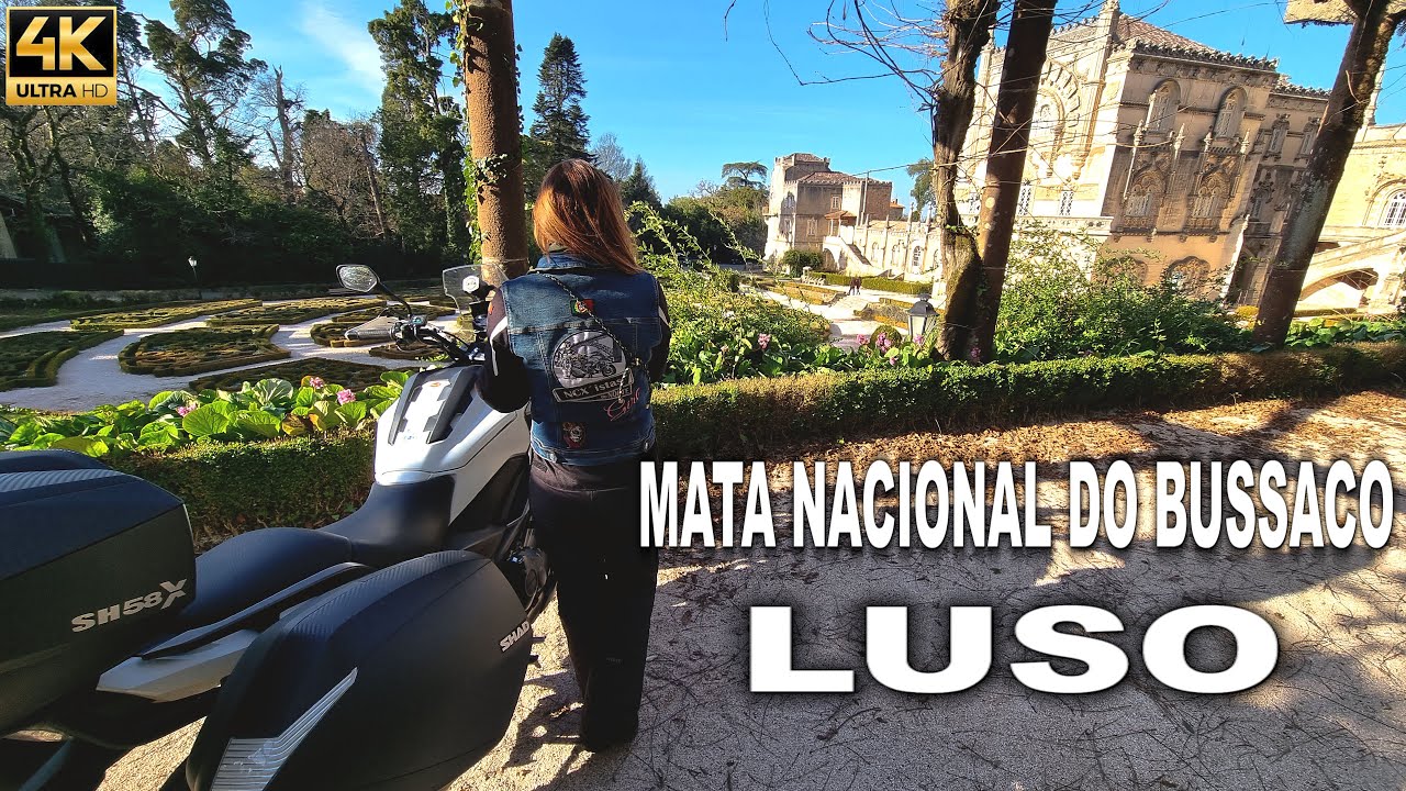 Passeio Mata Nacional Bussaco | Visita Museu Militar