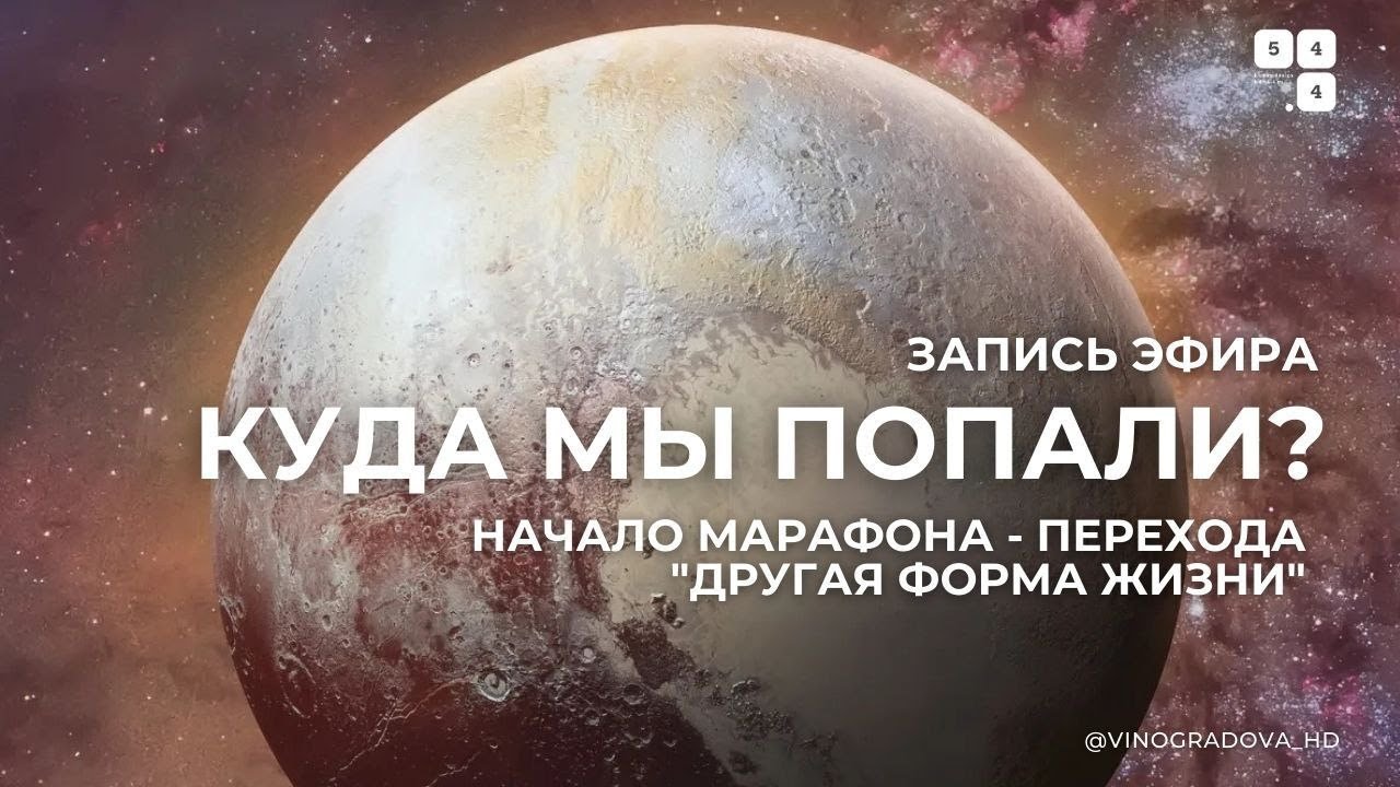 Куда мы попали? 1 день Марафона ДФЖ 2| Надежда Виноградова #дизайнчеловека #humandesign