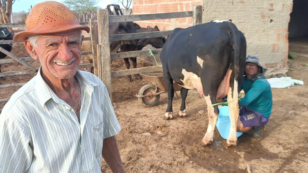 ZÉ IMPERIANO GANHOU UMA VACA DE SEGUIDOR E COMPROU MAIS DUAS E  DEU UMA CHUVA E ELE TÁ FELIZ DA VIDA